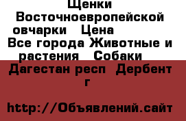 Щенки Восточноевропейской овчарки › Цена ­ 25 000 - Все города Животные и растения » Собаки   . Дагестан респ.,Дербент г.